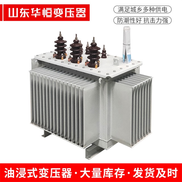 S13-10000/35东山东山东山油浸式变压器厂家